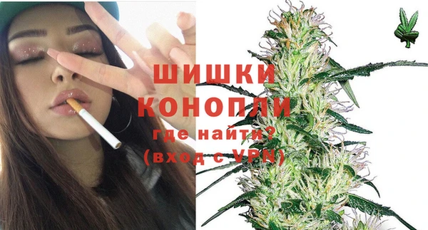 прущие грибы Нягань