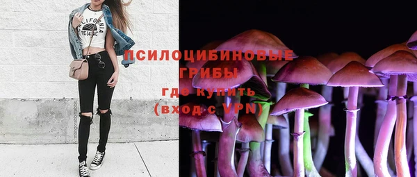 МДМА Няндома