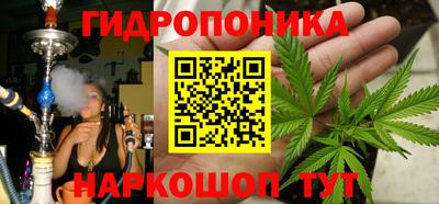 прущие грибы Заволжье