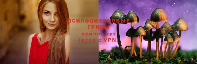 hydra рабочий сайт  Арсеньев  Галлюциногенные грибы Psilocybe 