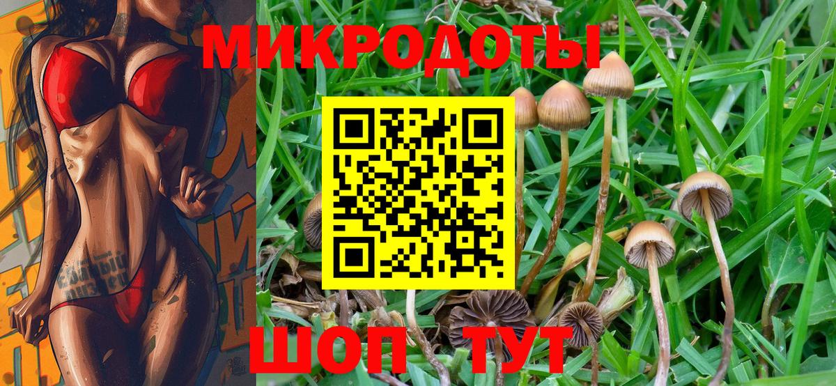 Псилоцибиновые грибы мицелий Арсеньев