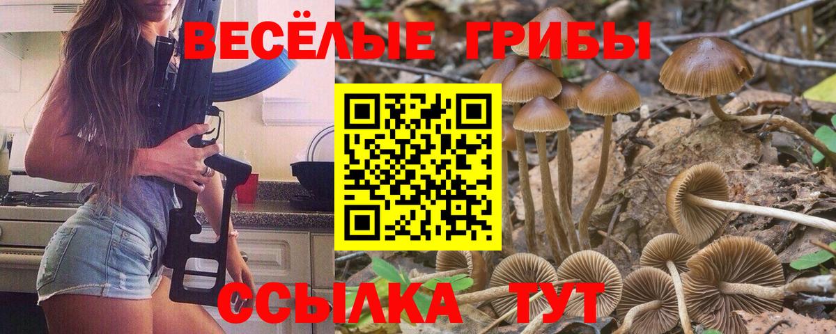 Псилоцибиновые грибы прущие грибы  Вход с VPN  Арсеньев 