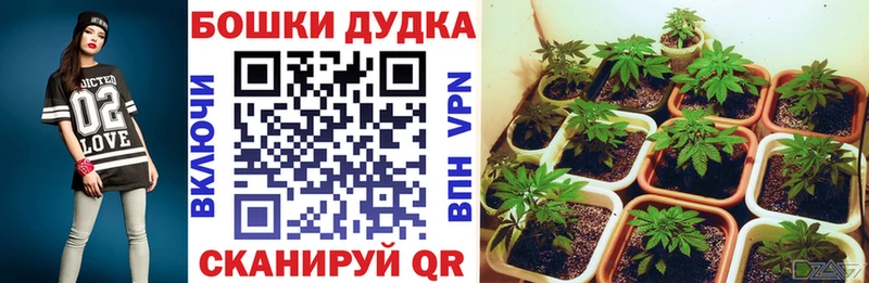 Бошки марихуана VHQ  Арсеньев 